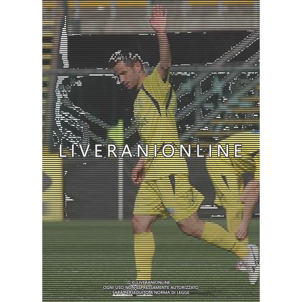 nella foto CELLINI MARCO ,ph.moro/ALDO LIVERANI ALBINO LEFFE CARRARESE LEGA PRO 13-04-2014