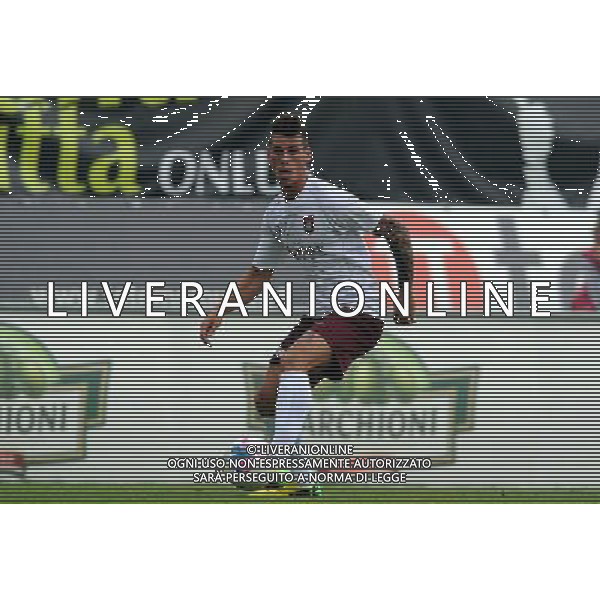 PERUGIA PONTEDERA LEGA PRO 13-04-2014 NELLA FOTO DI BARTOLOMEI PAOLO FOTO SETTONCE ROBERTO-AG ALDO LIVERANI SAS