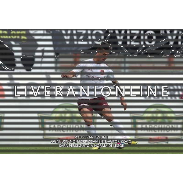 PERUGIA PONTEDERA LEGA PRO 13-04-2014 NELLA FOTO DI BARTOLOMEI PAOLO FOTO SETTONCE ROBERTO-AG ALDO LIVERANI SAS
