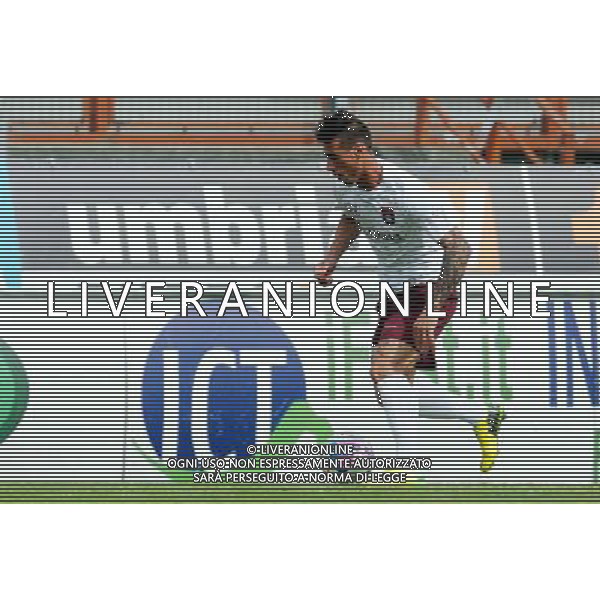 PERUGIA PONTEDERA LEGA PRO 13-04-2014 NELLA FOTO DI BARTOLOMEI PAOLO FOTO SETTONCE ROBERTO-AG ALDO LIVERANI SAS