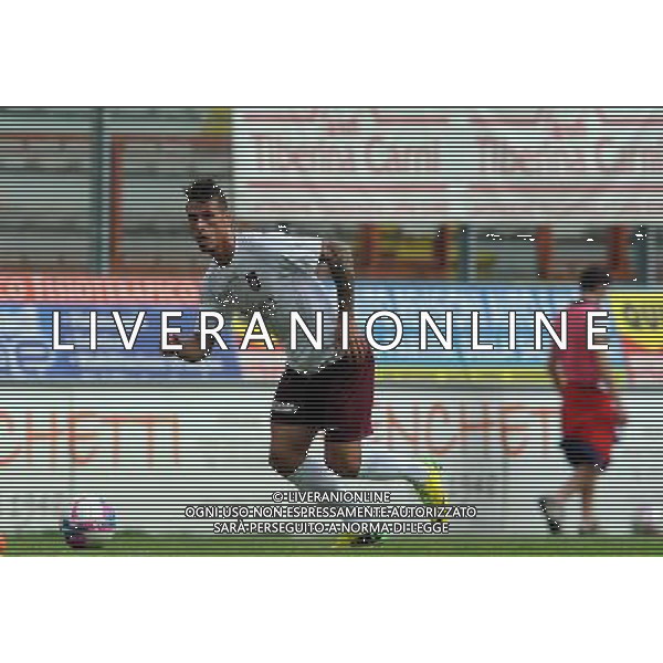 PERUGIA PONTEDERA LEGA PRO 13-04-2014 NELLA FOTO DI BARTOLOMEI PAOLO FOTO SETTONCE ROBERTO-AG ALDO LIVERANI SAS