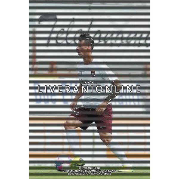 PERUGIA PONTEDERA LEGA PRO 13-04-2014 NELLA FOTO DI BARTOLOMEI PAOLO FOTO SETTONCE ROBERTO-AG ALDO LIVERANI SAS