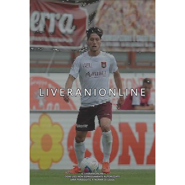 PERUGIA PONTEDERA LEGA PRO 13-04-2014 NELLA FOTO GONNELLI LORENZO FOTO SETTONCE ROBERTO-AG ALDO LIVERANI SAS