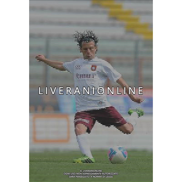 PERUGIA PONTEDERA LEGA PRO 13-04-2014 NELLA FOTO GRASSI LUIGI FOTO SETTONCE ROBERTO-AG ALDO LIVERANI SAS