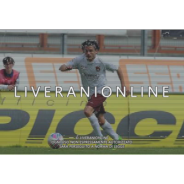 PERUGIA PONTEDERA LEGA PRO 13-04-2014 NELLA FOTO GRASSI LUIGI FOTO SETTONCE ROBERTO-AG ALDO LIVERANI SAS