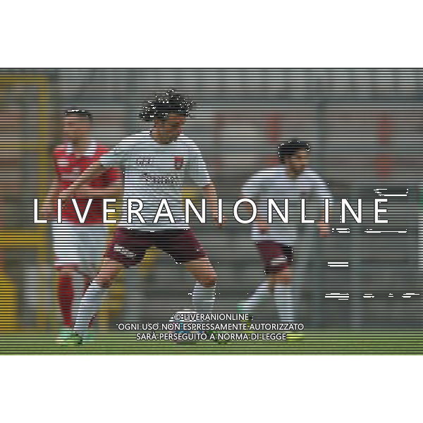 PERUGIA PONTEDERA LEGA PRO 13-04-2014 NELLA FOTO GRASSI LUIGI FOTO SETTONCE ROBERTO-AG ALDO LIVERANI SAS
