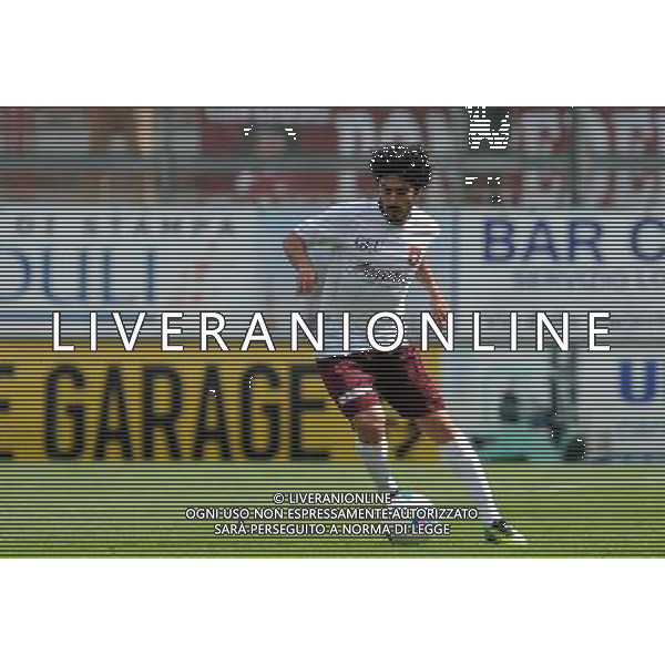 PERUGIA PONTEDERA LEGA PRO 13-04-2014 NELLA FOTO SETTEMBRINI ANDREA FOTO SETTONCE ROBERTO-AG ALDO LIVERANI SAS