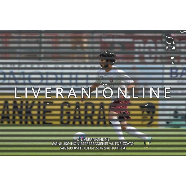 PERUGIA PONTEDERA LEGA PRO 13-04-2014 NELLA FOTO SETTEMBRINI ANDREA FOTO SETTONCE ROBERTO-AG ALDO LIVERANI SAS