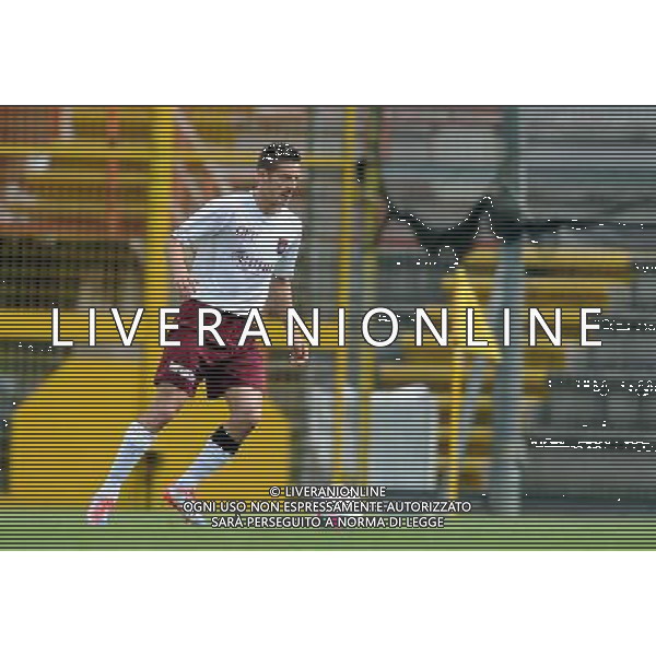 PERUGIA PONTEDERA LEGA PRO 13-04-2014 NELLA FOTO VETTORI FEDERICO FOTO SETTONCE ROBERTO-AG ALDO LIVERANI SAS