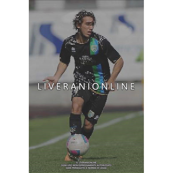 Busto Arsizio (VA) 13-04-2014 Stadio Carlo Speroni Campionato Lega PRO Prima Divisione girone A - 28Â° giornata Pro Patria - FeralpiSalo\' nella foto Vittorio Fabris (FeralpiSalo\') foto Roberto Garavaglia - ag. Aldo Liverani sas