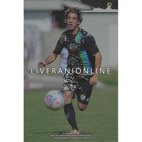 Busto Arsizio (VA) 13-04-2014 Stadio Carlo Speroni Campionato Lega PRO Prima Divisione girone A - 28Â° giornata Pro Patria - FeralpiSalo\' nella foto Vittorio Fabris (FeralpiSalo\') foto Roberto Garavaglia - ag. Aldo Liverani sas