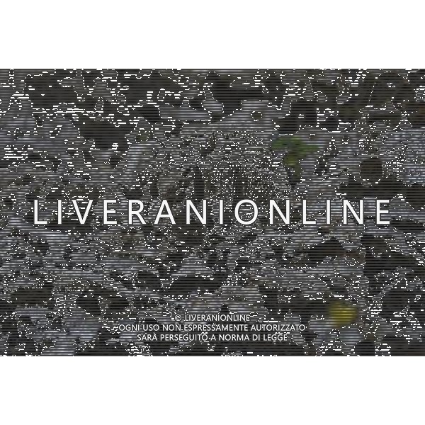 (140422) -- PINGTUNG, April 22, 2014 () -- Photo taken on April 21, 2014 shows coral fossil of Liouciou Township in Pingtung County, southeast China\'s Taiwan. Liouciou township, which locates 8-9 nautical miles away from the Taiwan Island, has an area of 6.8 square meters. (/Huang Xiaoyong) (lfj) ©photoshot/AGENZIA ALDO LIVERANI SAS - ITALY ONLY - Vedute della citta\' portuale di Liouciou, a sud est della Cina a 8-9 miglia nautiche dall\'isola di Taiwan, ha una superficie di 6,8 metri quadrati 22 aprile 2014