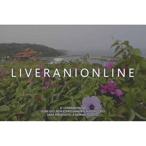 (140422) -- PINGTUNG, April 22, 2014 () -- Photo taken on April 21, 2014 shows flowers in Liouciou Township in Pingtung County, southeast China\'s Taiwan. Liouciou township, which locates 8-9 nautical miles away from the Taiwan Island, has an area of 6.8 square meters. (/Huang Xiaoyong) (lfj) ©photoshot/AGENZIA ALDO LIVERANI SAS - ITALY ONLY - Vedute della citta\' portuale di Liouciou, a sud est della Cina a 8-9 miglia nautiche dall\'isola di Taiwan, ha una superficie di 6,8 metri quadrati 22 aprile 2014