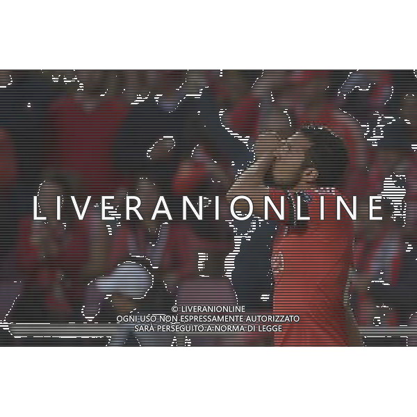 Benfica - Juventus Uefa Europa League 24-04-2014 Federico Tardito/Agenzia Aldo Liverani Sas Nella foto Garay esulta