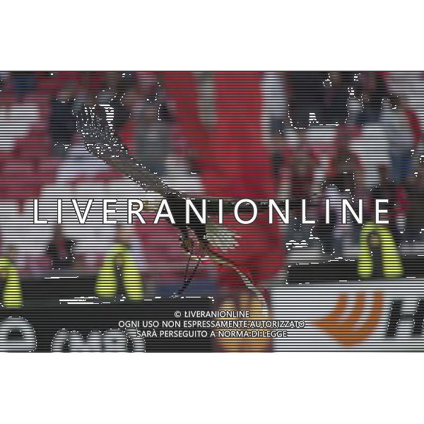 Benfica - Juventus Uefa Europa League 24-04-2014 Federico Tardito/Agenzia Aldo Liverani Sas Nella foto l\'aquia mascotte del Benfica