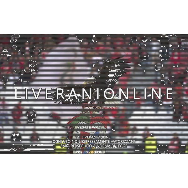 Benfica - Juventus Uefa Europa League 24-04-2014 Federico Tardito/Agenzia Aldo Liverani Sas Nella foto l\'aquia mascotte del Benfica