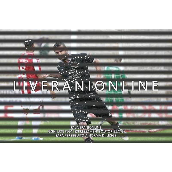 VICENZA - REGGIANA CAMPIONATO CALCIO LEGA PRO 27 APRILE 2014 NELLA FOTO ESULTANZA DOPO IL GOL DI DE GIOSA ©GARBUIO/AGENZIA ALDO LIVERANI SAS