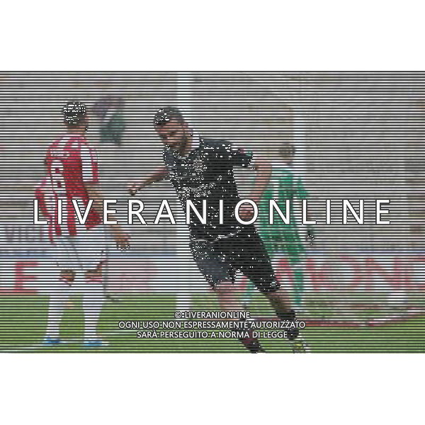VICENZA - REGGIANA CAMPIONATO CALCIO LEGA PRO 27 APRILE 2014 NELLA FOTO ESULTANZA DOPO IL GOL DI DE GIOSA ©GARBUIO/AGENZIA ALDO LIVERANI SAS