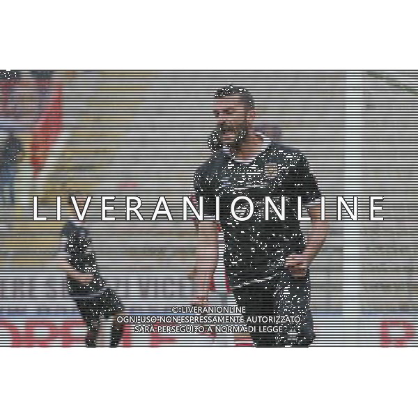 VICENZA - REGGIANA CAMPIONATO CALCIO LEGA PRO 27 APRILE 2014 NELLA FOTO ESULTANZA DOPO IL GOL DI DE GIOSA ©GARBUIO/AGENZIA ALDO LIVERANI SAS