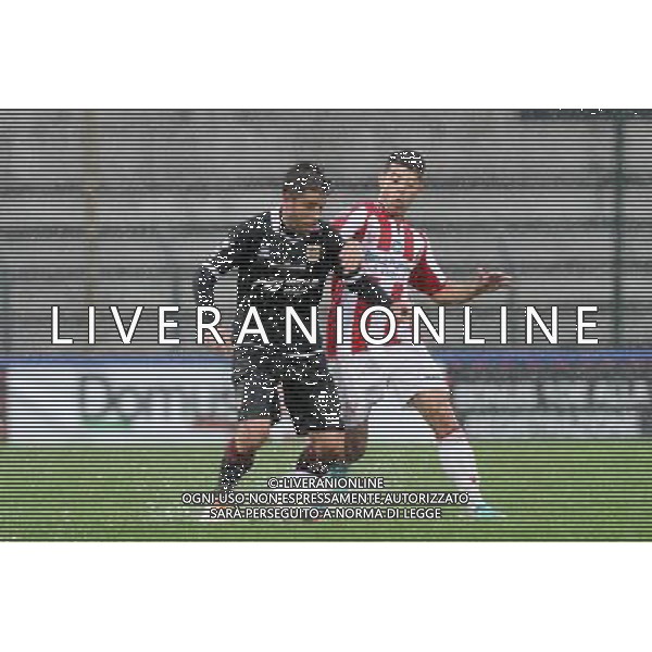 VICENZA - REGGIANA CAMPIONATO CALCIO LEGA PRO 27 APRILE 2014 NELLA FOTO VIAPIANA E TULLI ©GARBUIO/AGENZIA ALDO LIVERANI SAS