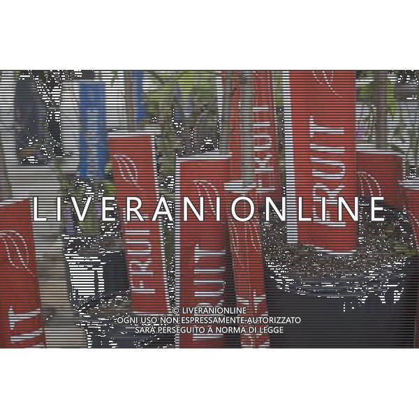 Free trees at the Urban Garden Center in East Harlem in New York on Sunday, April 27, 2014 at one of the New York Restoration Project\'s tree giveaways.The giveaway is part of the MillionTreesNYC initiative started in 2007 as part of the city\'s long term sustainability program. The goal is to increase the \'urban forest\', comprised of street, park, public and private trees, to the betterment of the quality of life for New Yorkers. ©photoshot/AGENZIA ALDO LIVERANI SAS - ITALY ONLY - Vedute della citta\' di New York - Vita quotidiana