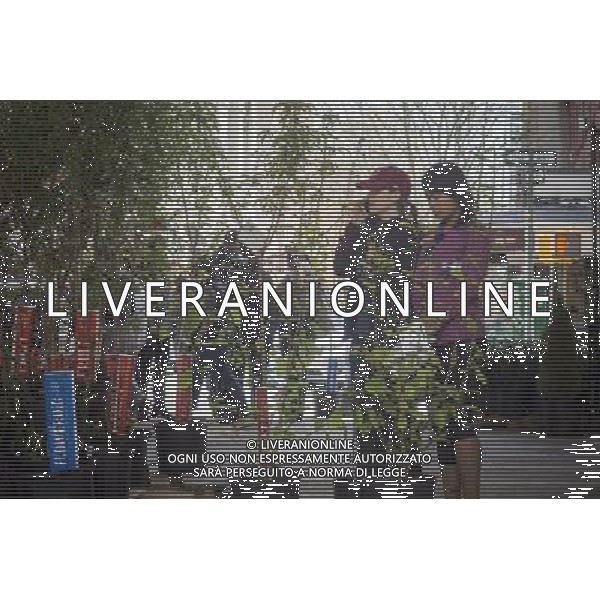 New Yorkers at the Urban Garden Center in East Harlem in New York on Sunday, April 27, 2014 at one of the New York Restoration Project\'s tree giveaways.The giveaway is part of the MillionTreesNYC initiative started in 2007 as part of the city\'s long term sustainability program. The goal is to increase the \'urban forest\', comprised of street, park, public and private trees, to the betterment of the quality of life for New Yorkers. ©photoshot/AGENZIA ALDO LIVERANI SAS - ITALY ONLY - Vedute della citta\' di New York - Vita quotidiana