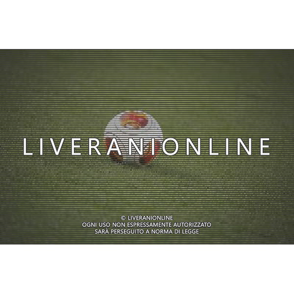 Juventus - Benfica Uefa Europa League Semifinali di Ritorno Federico Tardito/Agenzia Aldo Liverani Sas Nella foto il pallone AG ALDO LIVERANI SAS ONLY ITALY