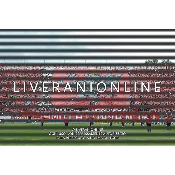 PERUGIA FROSINONE LEGA PRO 04-05-2014 NELLA FOTO CURVA TIFOSI PERUGIA FOTO SETTONCE-AG ALDOL IVERANI SAS