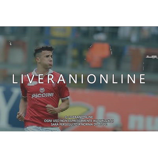 PERUGIA FROSINONE LEGA PRO 04-05-2014 NELLA FOTO ESULTANZA MOSCATI FOTO SETTONCE-AG ALDOL IVERANI SAS