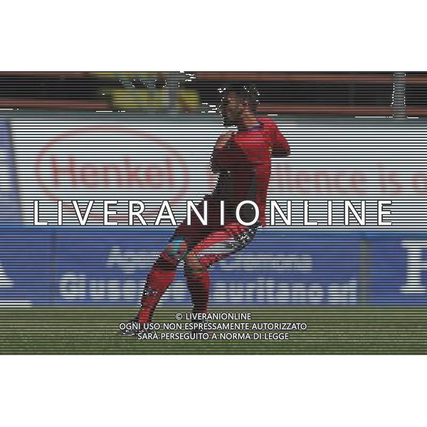 Campionato di Calcio Lega Pro Prima Divisione Girone A 2013/2014 30 Giornata Cremona - 04.05.2014 Cremonese-Virtus Entella Nella Foto:gol caracciolo antonio /Ph.Vitez-Ag. Aldo Liverani