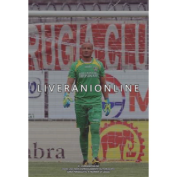 PERUGIA FROSINONE LEGA PRO 04-04-2014 NELLA FOTO ZAPPINO MASSIMO FOTO SETTONCE-AG ALDO LIVERANI SAS