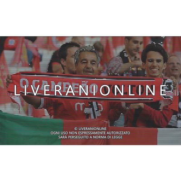 UEFA Europa League 2013/2014 Finale Torino - 14.05.2014 Siviglia-Benfica Nella Foto:tifosi benfica /Ph.Vitez-Ag. Aldo Liverani