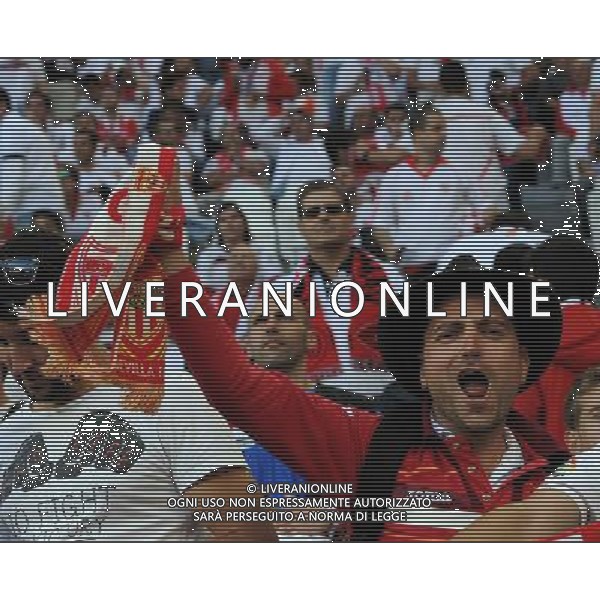 UEFA Europa League 2013/2014 Finale Torino - 14.05.2014 Siviglia-Benfica Nella Foto:tifosi siviglia /Ph.Vitez-Ag. Aldo Liverani