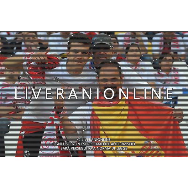 UEFA Europa League 2013/2014 Finale Torino - 14.05.2014 Siviglia-Benfica Nella Foto:tifosi siviglia /Ph.Vitez-Ag. Aldo Liverani