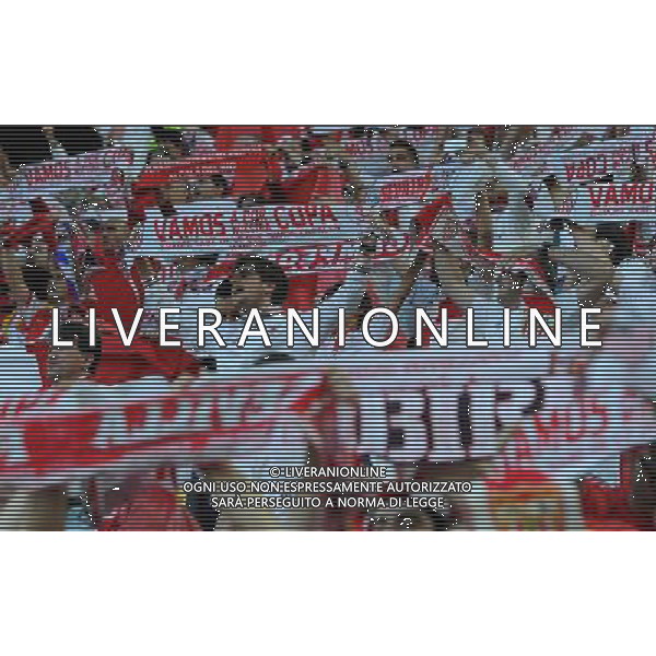 UEFA Europa League 2013/2014 Finale Torino - 14.05.2014 Siviglia-Benfica Nella Foto:tifosi siviglia /Ph.Vitez-Ag. Aldo Liverani