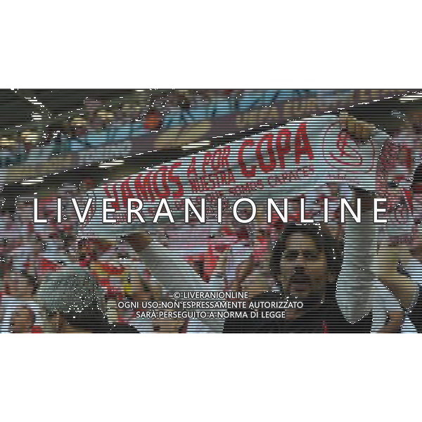 UEFA Europa League 2013/2014 Finale Torino - 14.05.2014 Siviglia-Benfica Nella Foto:tifosi siviglia /Ph.Vitez-Ag. Aldo Liverani