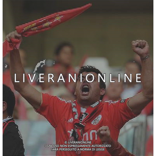 UEFA Europa League 2013/2014 Finale Torino - 14.05.2014 Siviglia-Benfica Nella Foto:tifosi benfica /Ph.Vitez-Ag. Aldo Liverani