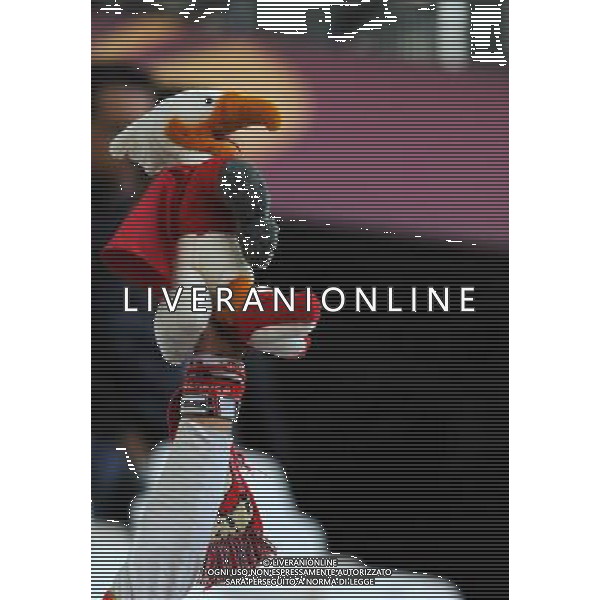 UEFA Europa League 2013/2014 Finale Torino - 14.05.2014 Siviglia-Benfica Nella Foto:tifosi benfica /Ph.Vitez-Ag. Aldo Liverani