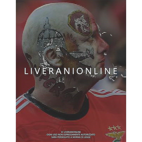 UEFA Europa League 2013/2014 Finale Torino - 14.05.2014 Siviglia-Benfica Nella Foto:tifosi benfica /Ph.Vitez-Ag. Aldo Liverani