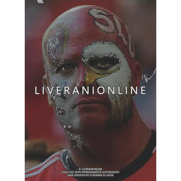 UEFA Europa League 2013/2014 Finale Torino - 14.05.2014 Siviglia-Benfica Nella Foto:tifosi benfica /Ph.Vitez-Ag. Aldo Liverani