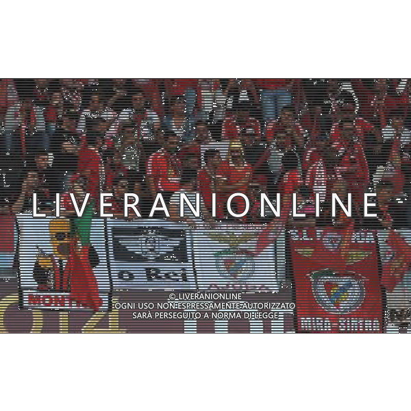 UEFA Europa League 2013/2014 Finale Torino - 14.05.2014 Siviglia-Benfica Nella Foto:tifosi benfica /Ph.Vitez-Ag. Aldo Liverani