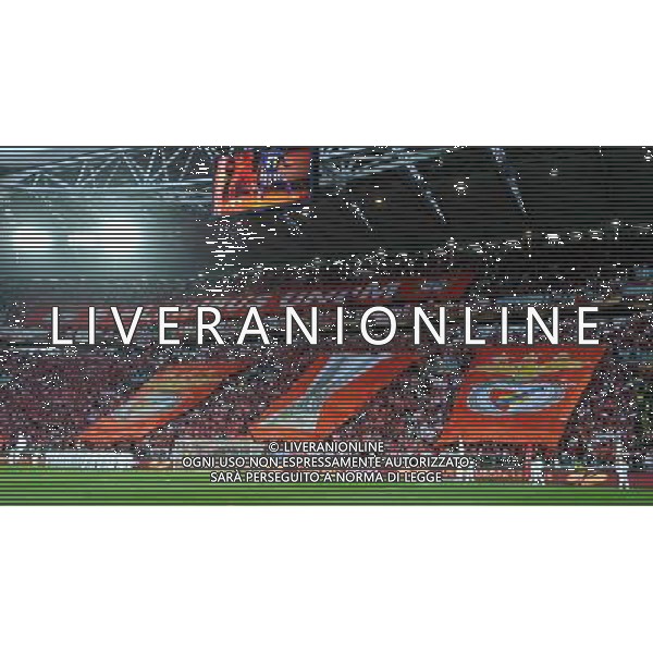 UEFA Europa League 2013/2014 Finale Torino - 14.05.2014 Siviglia-Benfica Nella Foto:coreografia tifosi benfica /Ph.Vitez-Ag. Aldo Liverani