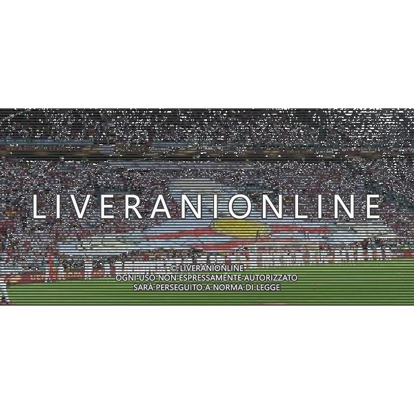 UEFA Europa League 2013/2014 Finale Torino - 14.05.2014 Siviglia-Benfica Nella Foto:coreografia tifosi siviglia /Ph.Vitez-Ag. Aldo Liverani