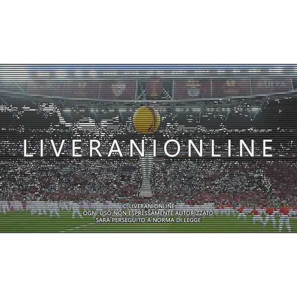 UEFA Europa League 2013/2014 Finale Torino - 14.05.2014 Siviglia-Benfica Nella Foto:coreografia uefa /Ph.Vitez-Ag. Aldo Liverani