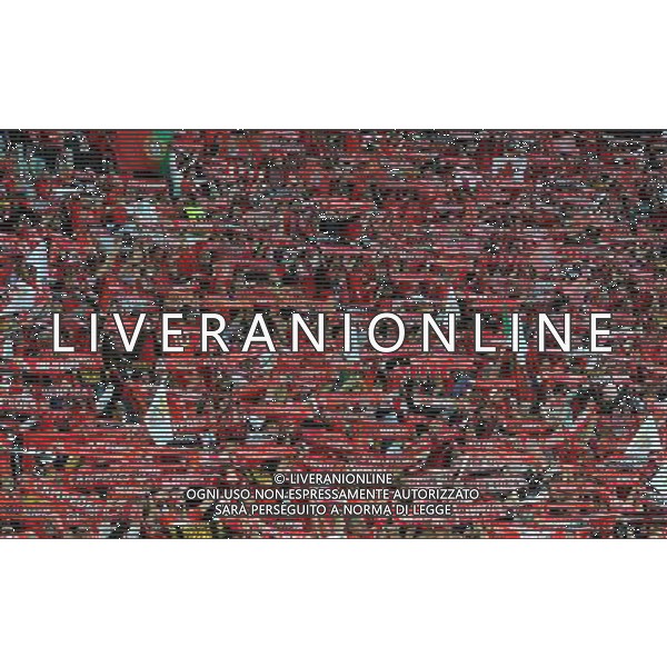 UEFA Europa League 2013/2014 Finale Torino - 14.05.2014 Siviglia-Benfica Nella Foto:tifosi benfica /Ph.Vitez-Ag. Aldo Liverani