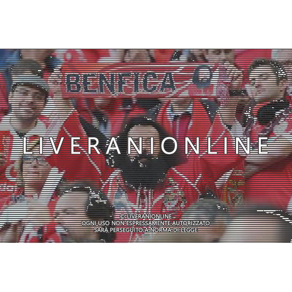 TURYN 14.05.2014 FINALOWY MECZ LIGA EUROPY SEZON 2013/14: SEVILLA FC - BENFICA LIZBONA --- UEFA EUROPA LEAGUE FINAL MATCH IN TURIN: SEVILLA FC - BENFICA LISBON KIBICE BENFIKI FOT. PIOTR KUCZA/NEWSPIX.PL --- Newspix.pl ©NEWSPIX/AGENZIA ALDO LIVERANI SAS - ITALY ONLY - Siviglia - Benfica UEFA Europa League 2013/2014 Finale Torino - 14.05.2014 *** Local Caption *** www.newspix.pl mail us: info@newspix.pl call us: 0048 022 23 22 222 --- Polish Picture Agency by Ringier Axel Springer Poland