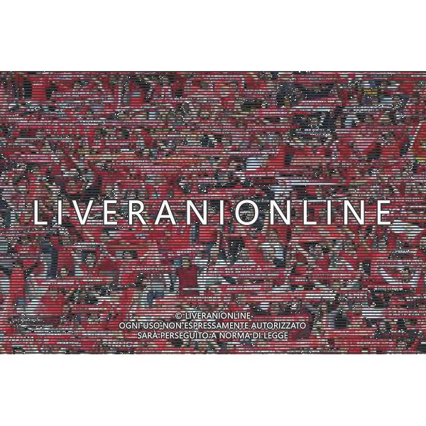 TURYN 14.05.2014 FINALOWY MECZ LIGA EUROPY SEZON 2013/14: SEVILLA FC - BENFICA LIZBONA --- UEFA EUROPA LEAGUE FINAL MATCH IN TURIN: SEVILLA FC - BENFICA LISBON KIBICE BENFIKI FOT. PIOTR KUCZA/NEWSPIX.PL --- Newspix.pl ©NEWSPIX/AGENZIA ALDO LIVERANI SAS - ITALY ONLY - Siviglia - Benfica UEFA Europa League 2013/2014 Finale Torino - 14.05.2014 *** Local Caption *** www.newspix.pl mail us: info@newspix.pl call us: 0048 022 23 22 222 --- Polish Picture Agency by Ringier Axel Springer Poland