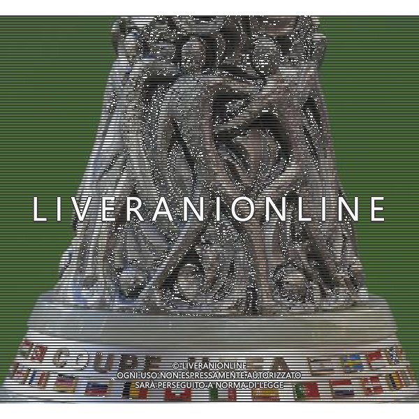 UEFA Europa League 2013/2014 Finale Torino - 14.05.2014 Siviglia-Benfica Nella Foto:Coppa Uefa particolari /Ph.Vitez-Ag. Aldo Liverani