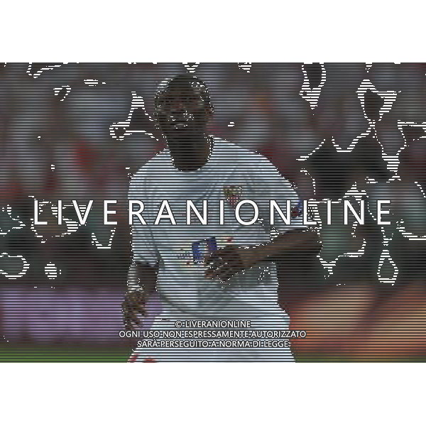 UEFA Europa League 2013/2014 Finale Torino - 14.05.2014 Siviglia-Benfica Nella Foto:Mbia Stephane /Ph.Vitez-Ag. Aldo Liverani