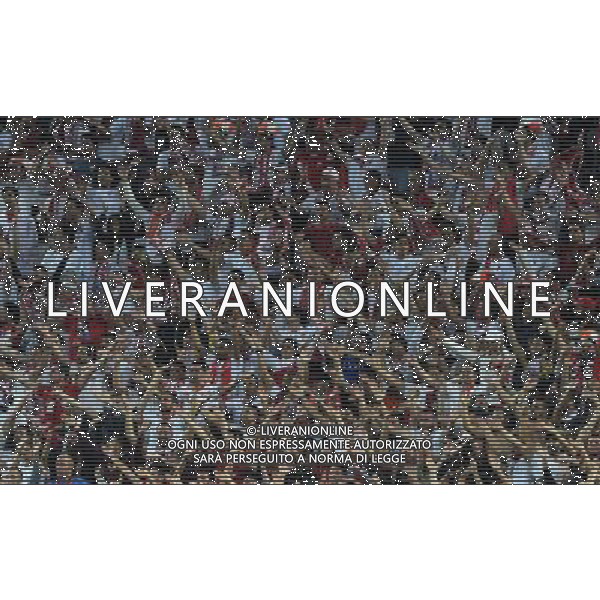 UEFA Europa League 2013/2014 Finale Torino - 14.05.2014 Siviglia-Benfica Nella Foto:Tifosi Siviglia /Ph.Vitez-Ag. Aldo Liverani